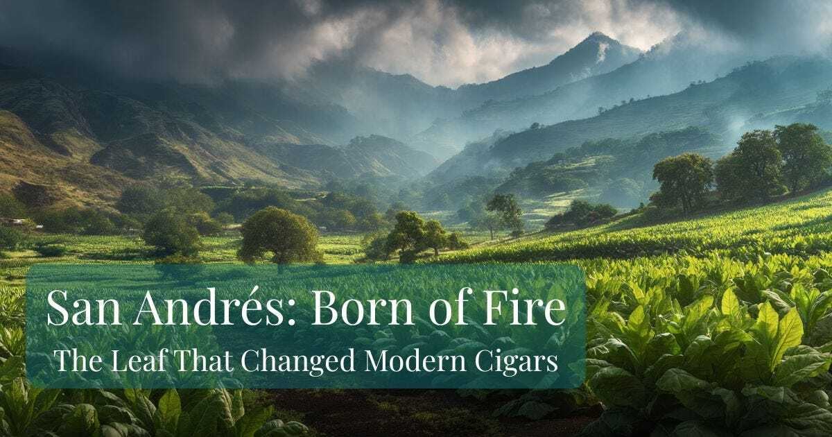 The Volcanic Leaf Changing What’s in Your Humidor