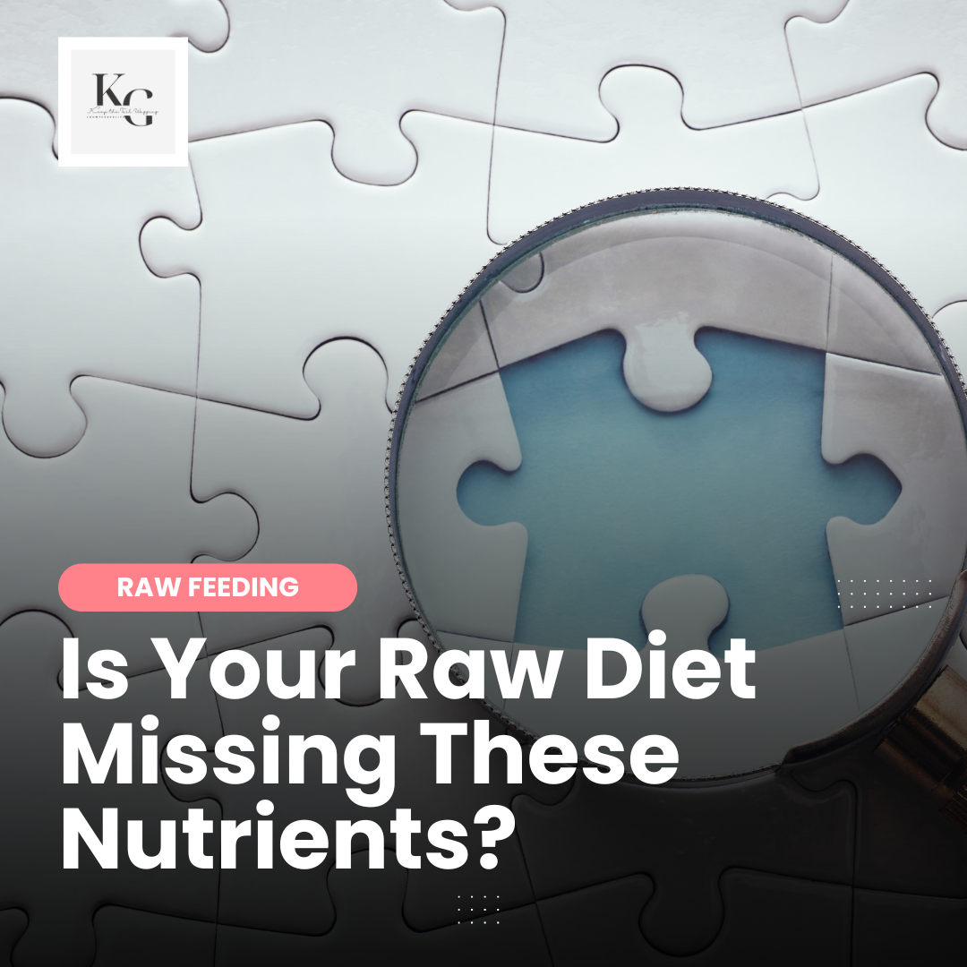 The Hidden Dangers of Deficient Raw Diets for Dogs
