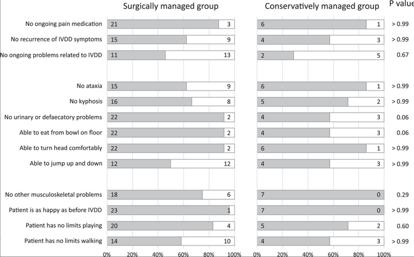 Living With IVDD: Study Shows Dogs and Owners Bear Long-Term Burdens