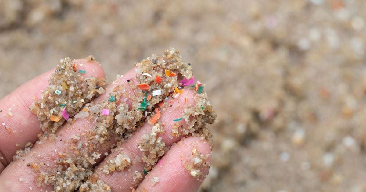 Microplastics Can Carry Pathogens and Drug-Resistant Bacteria, Study Finds