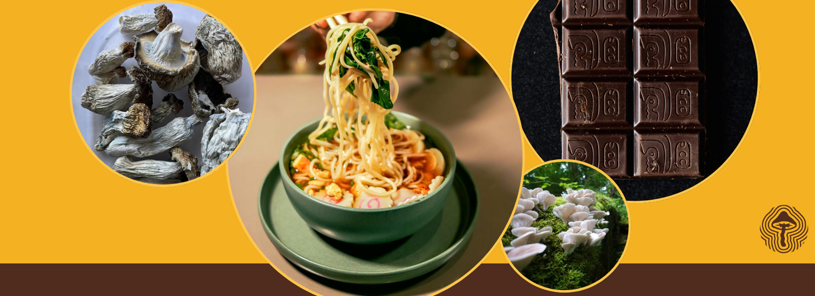 💊 Psilocybin Microdosing Myths, Mood-Boosting Mushrooms, and Healthier Chocolate