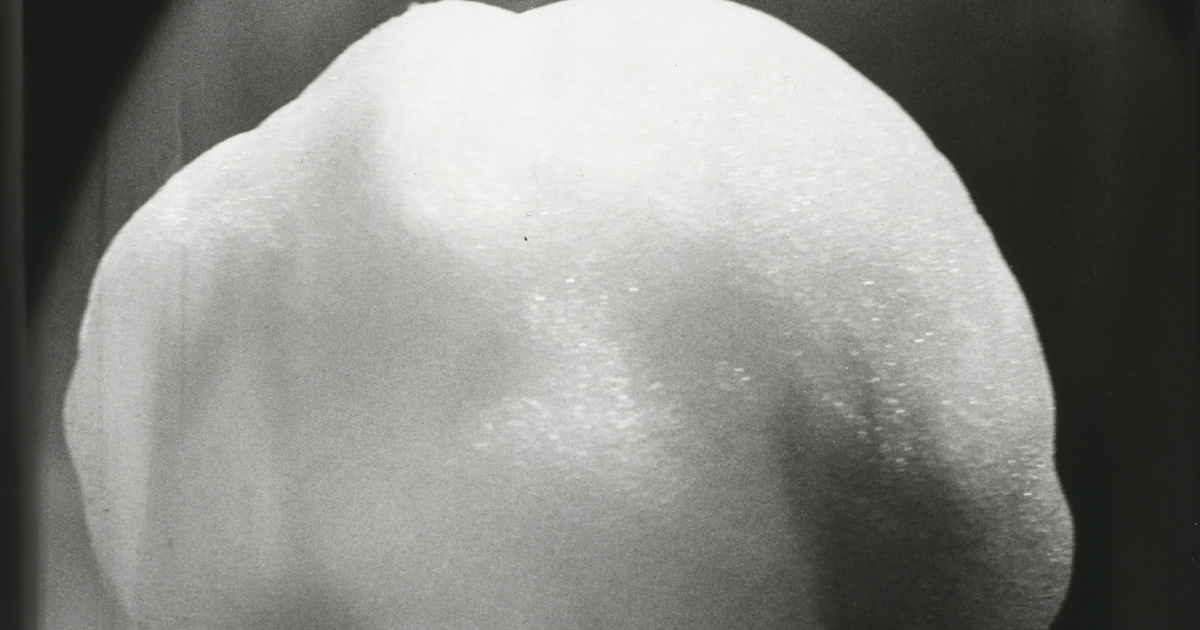 Hello Berlin! Here's what you need to know for your week Feb 4-8