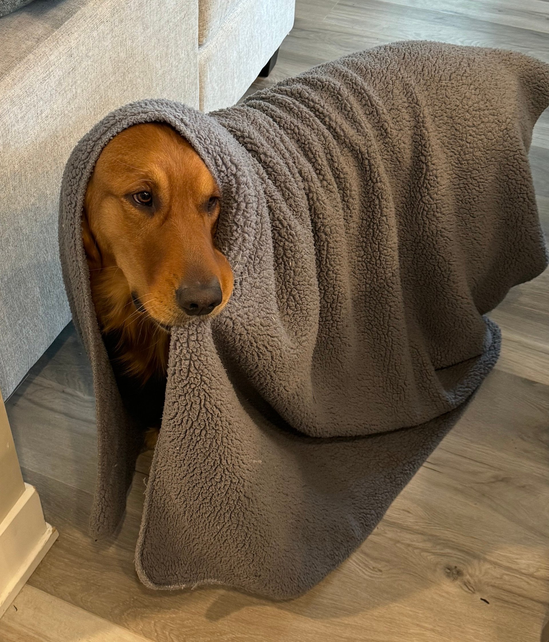 Everyone is circling back 