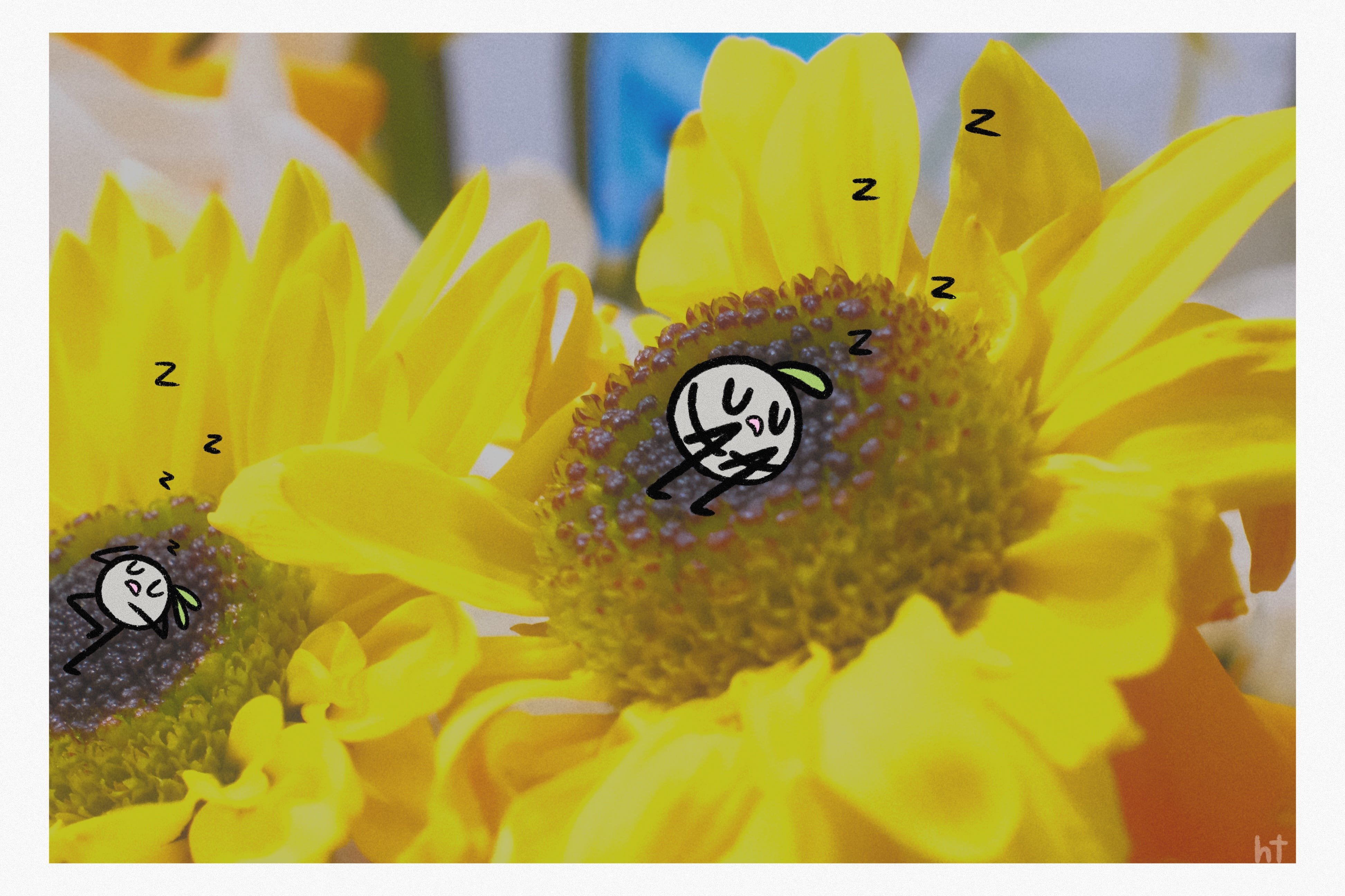 rest -- pebble prose