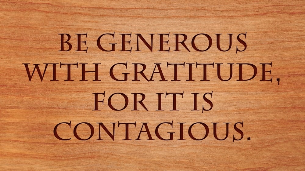 Thanksgiving for entrepreneurs