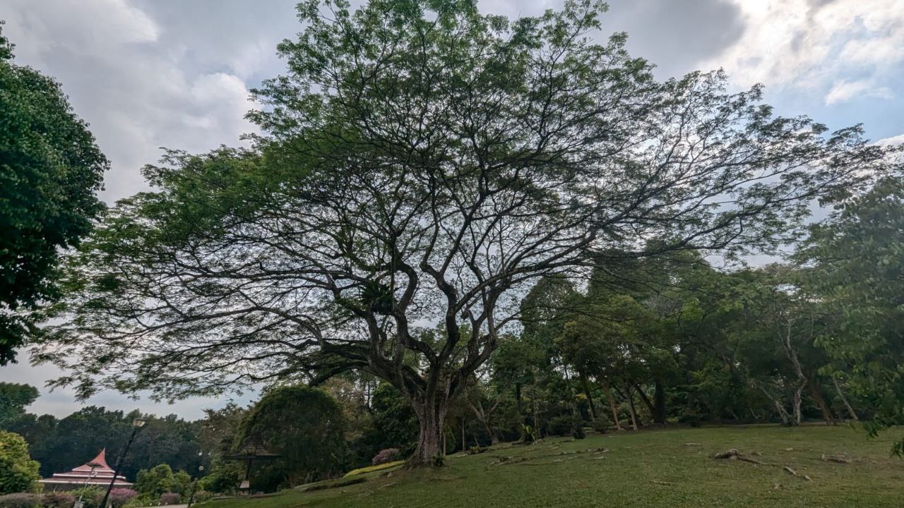 Connecting, Contributing for Common Learning