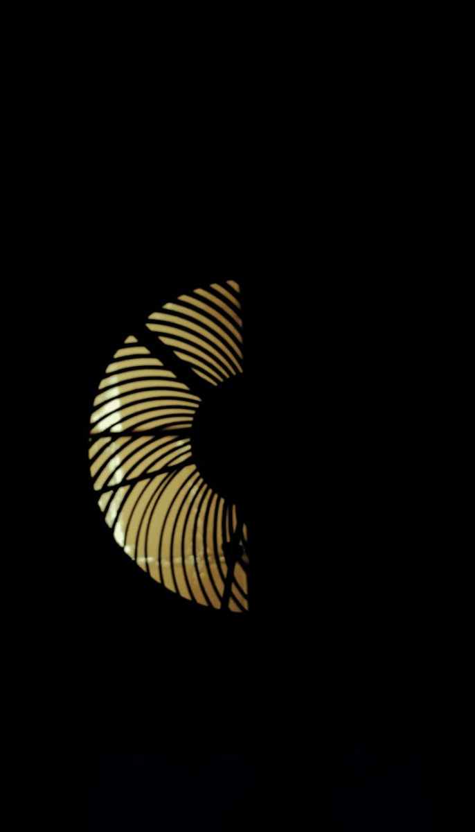 If your gay child’s happiness could talk