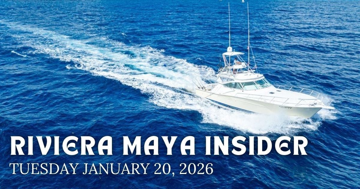 🌴 Shark Attacks Ray on Tulum Beach [VIDEO]