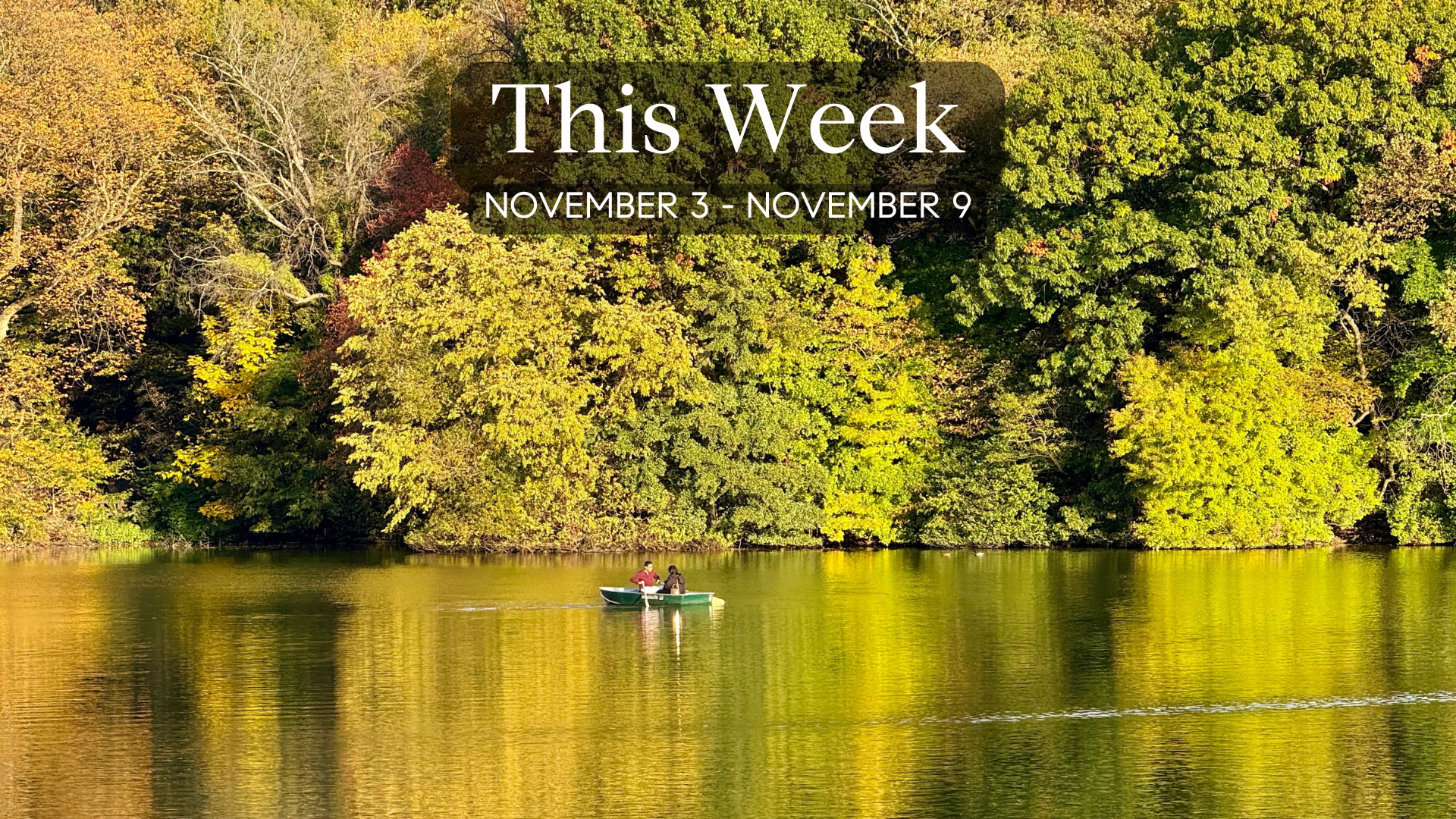 The Mamdani Promise & Sotheby’s New Era on Madison