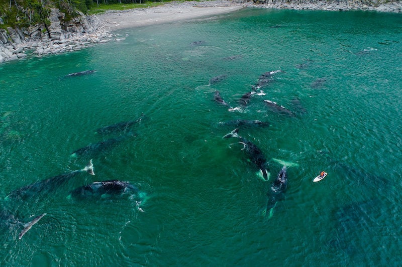 Issue 182: Shantar Islands SUP Safari
