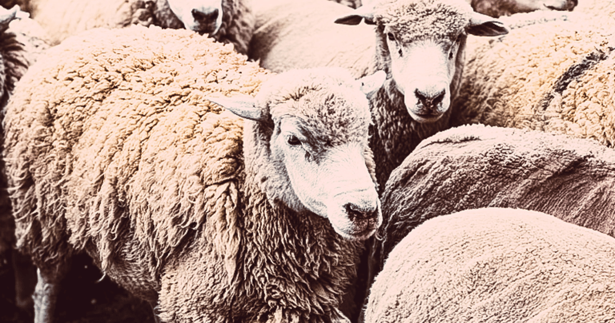 The New Identity Recession