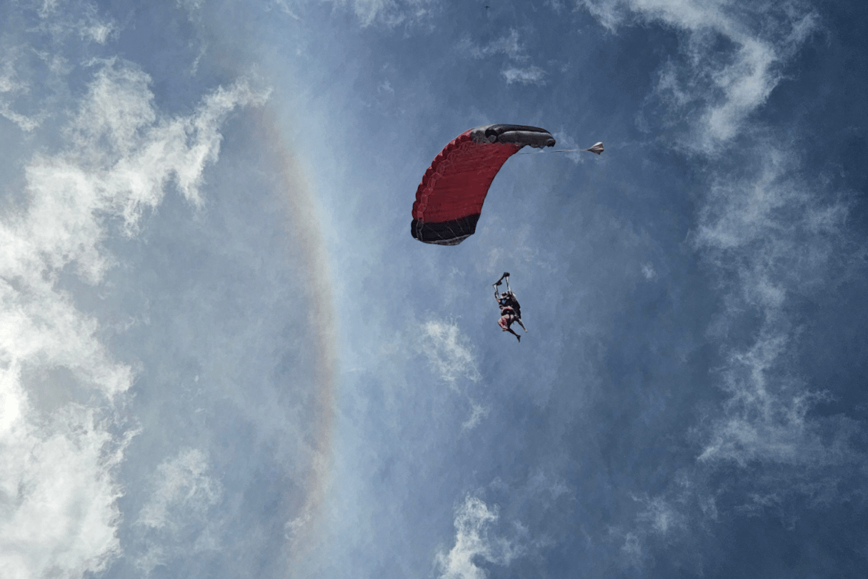 A Love Letter to a World I Had to Fall For