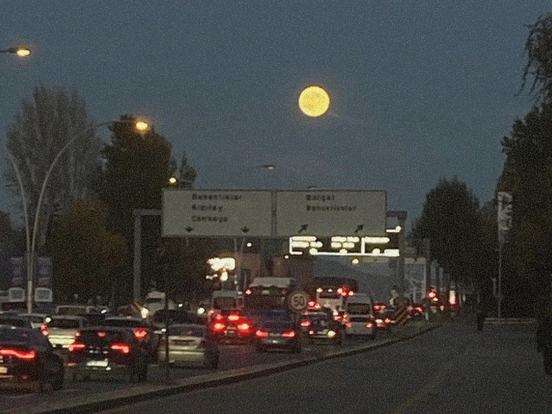 filAnkara #029: 13 Kasım-16 Kasım 2025