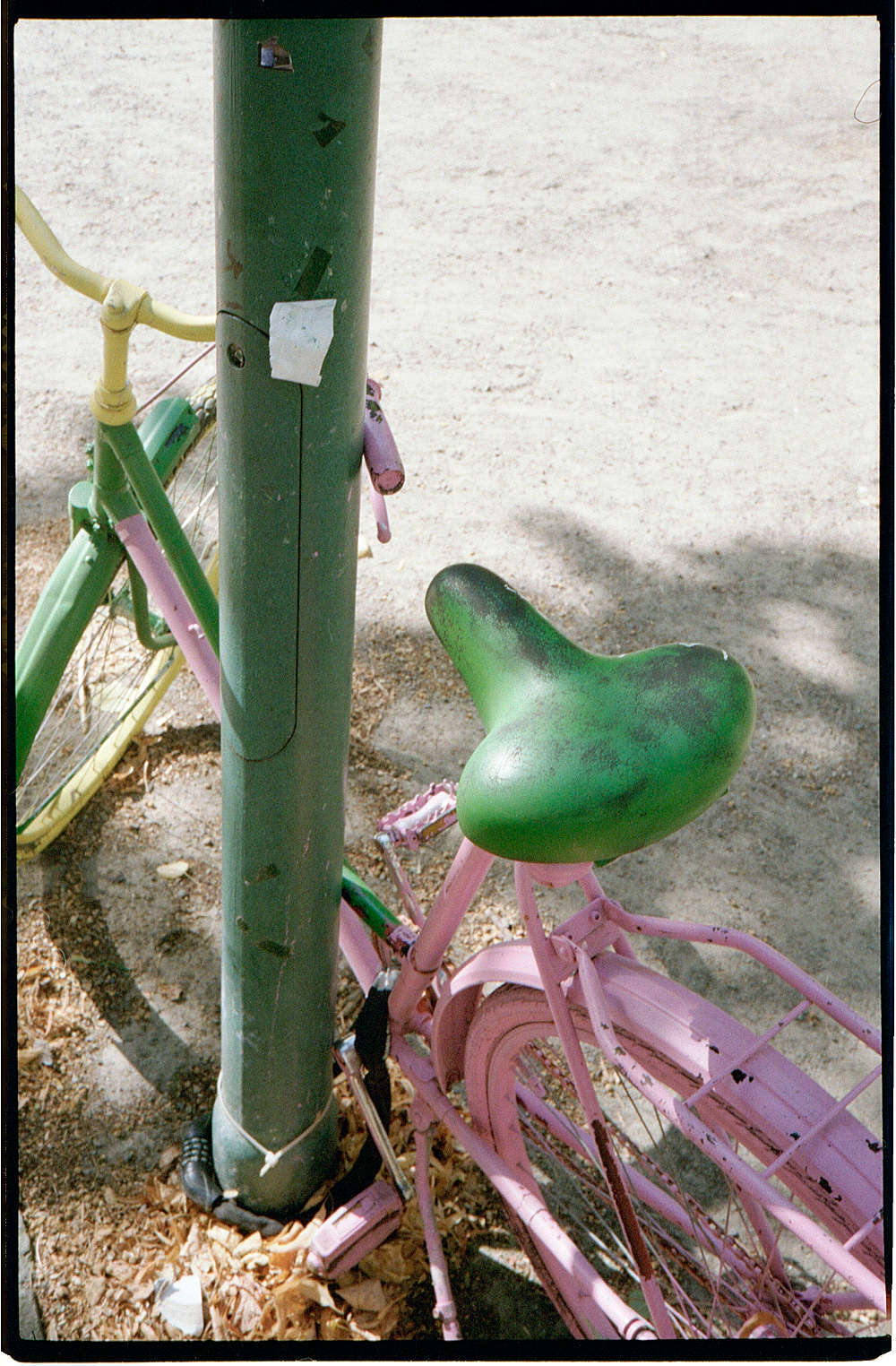 KOKO#9 Hier ist langweilig, wir sind frei