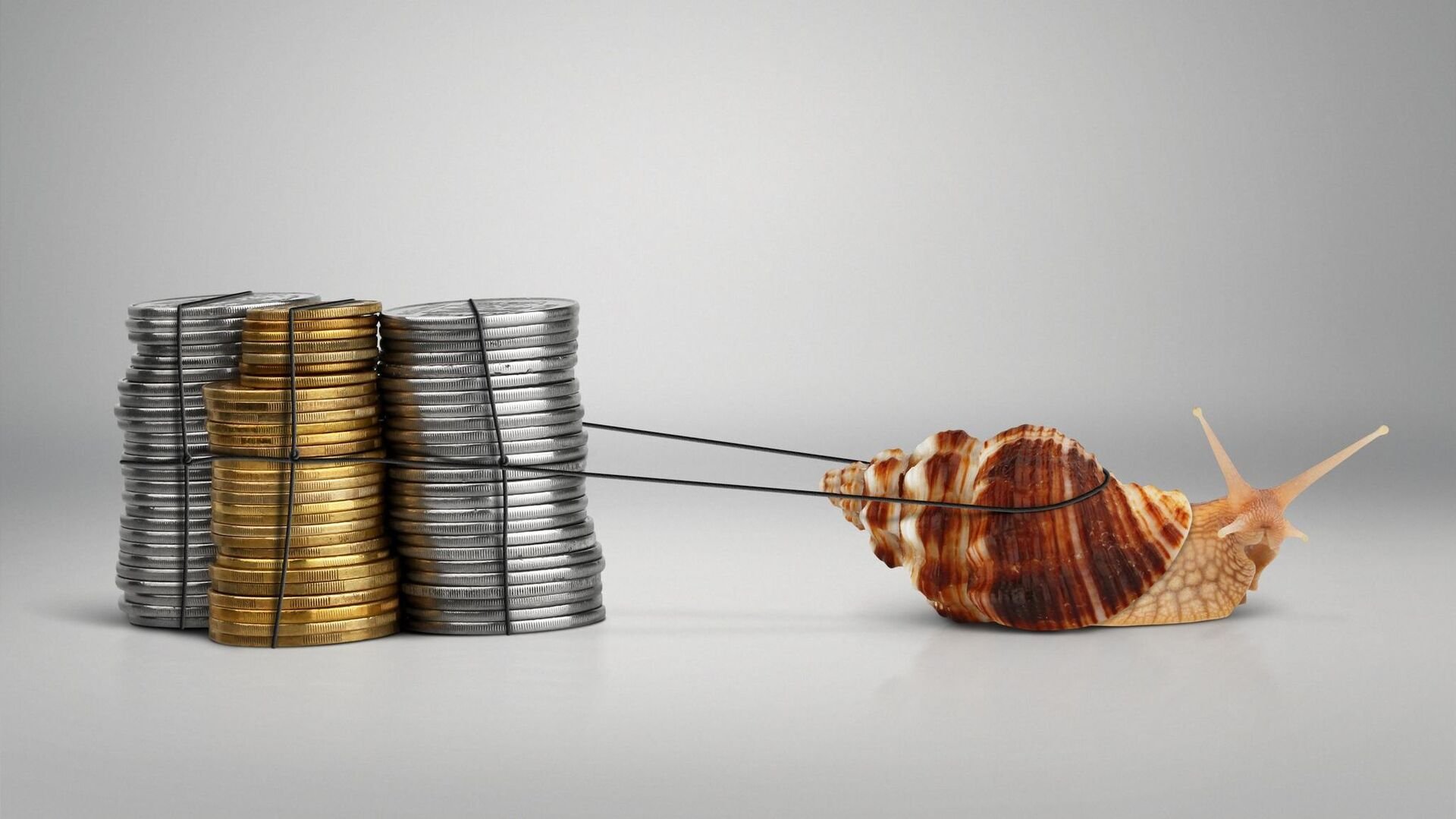 The fast and the financially furious