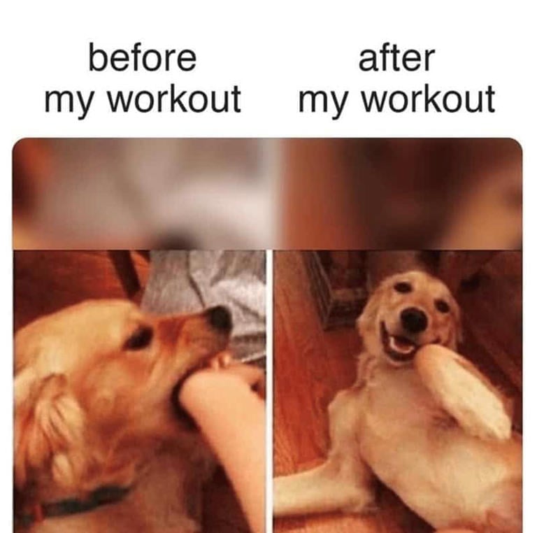 Edition #149 | Buffalo Wild Wings Protein Martini