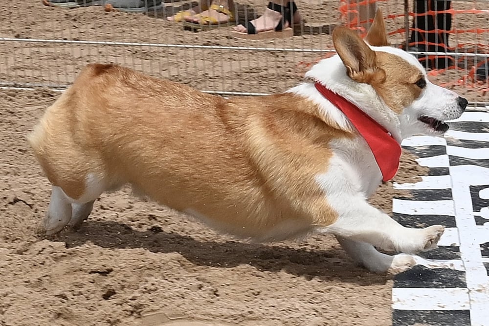 HTX-CYP: Impact 3/19/2026