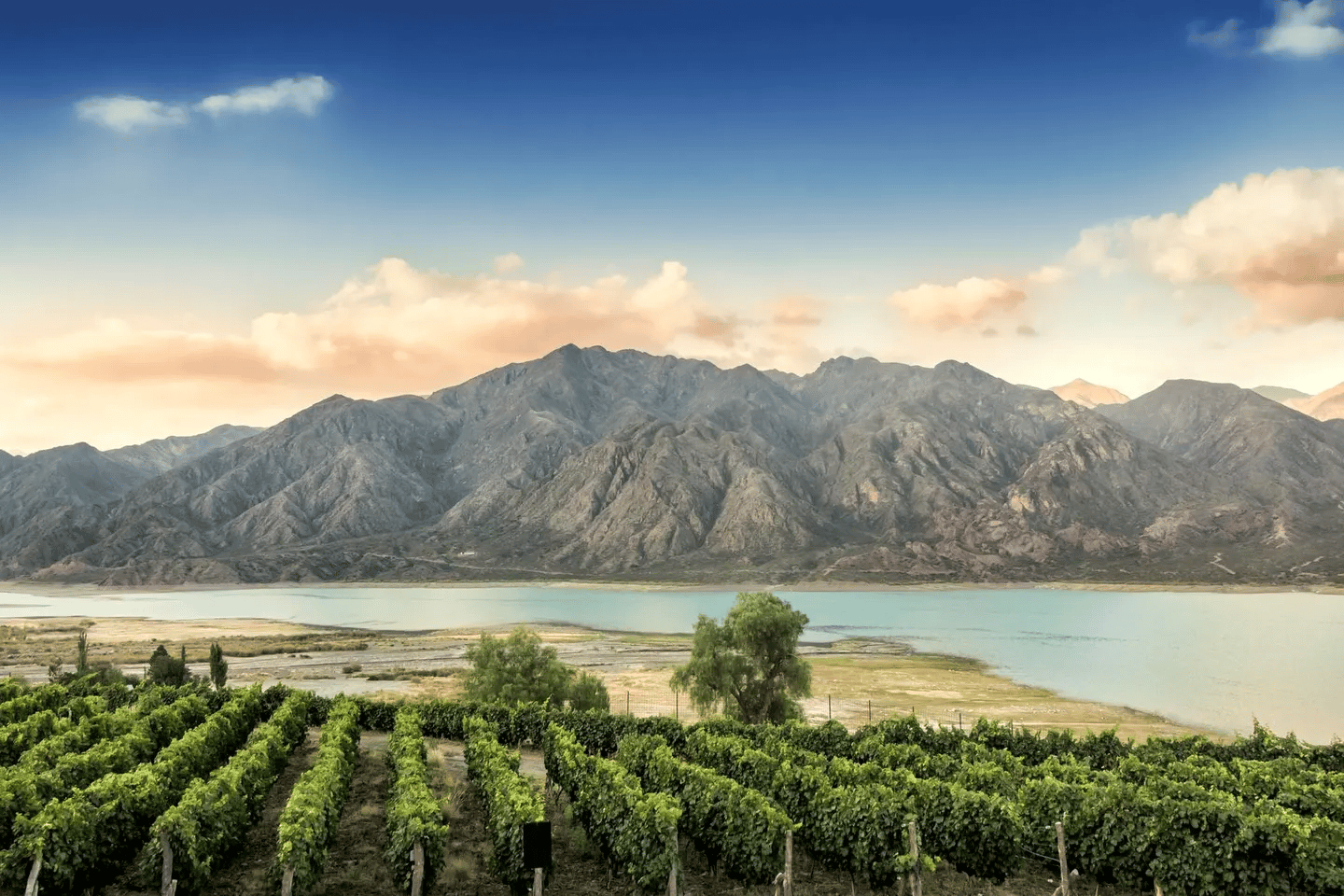 World's Must-Visit Wineries, Saving Old Vine Zin, Luxury Wines Sell, and much more...