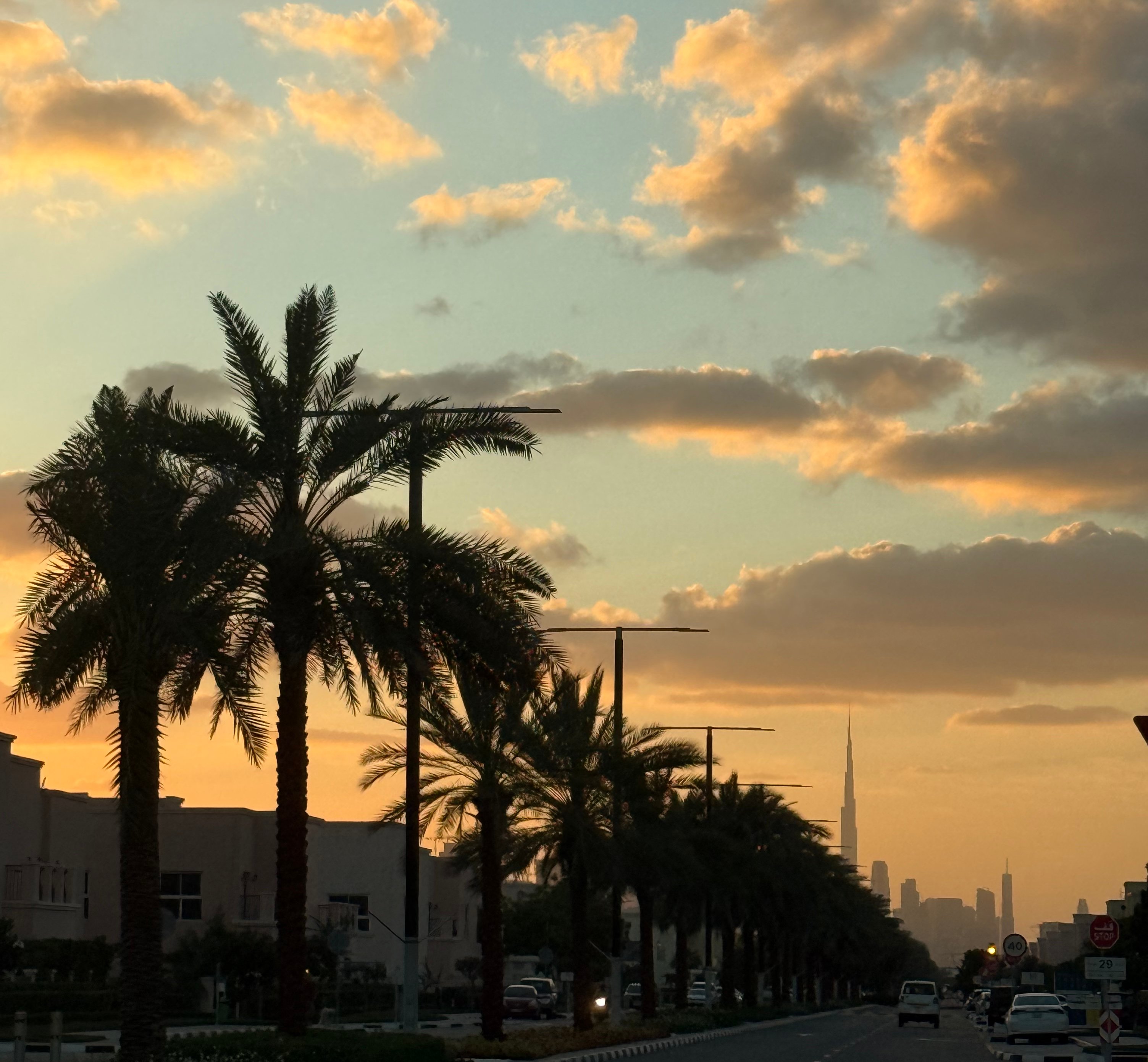 Things to do and places to be (TWIF - MENA 02/04)