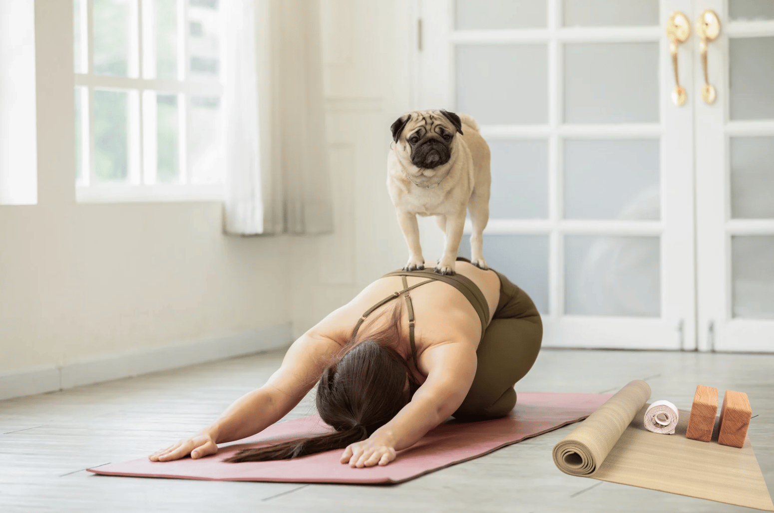 Down Dog & Diamond Eggs 