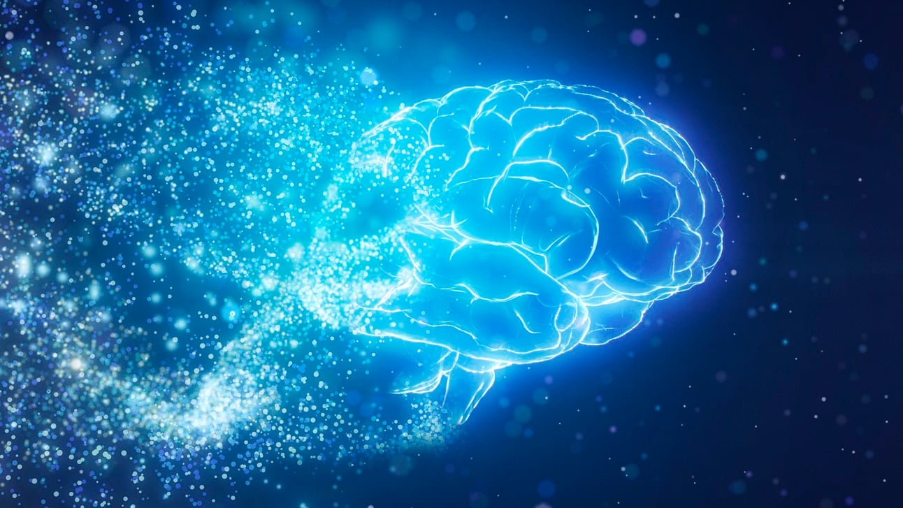 Your Life Isn't Supposed To Suck (If You Follow These 3 Principles Of Dopamine)