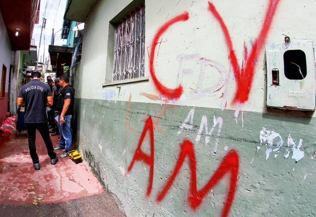 🌴 Crime takes root in the rainforest