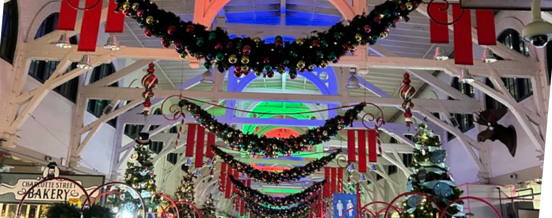 💨 Hold on to your holly