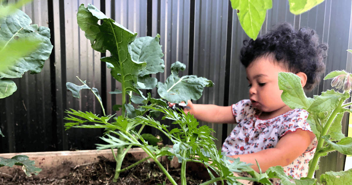 What My Garden Taught Me About Alignment