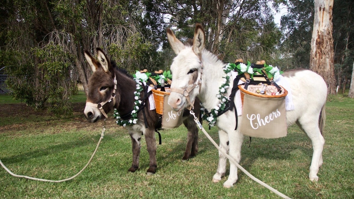 The error of conventional ideas