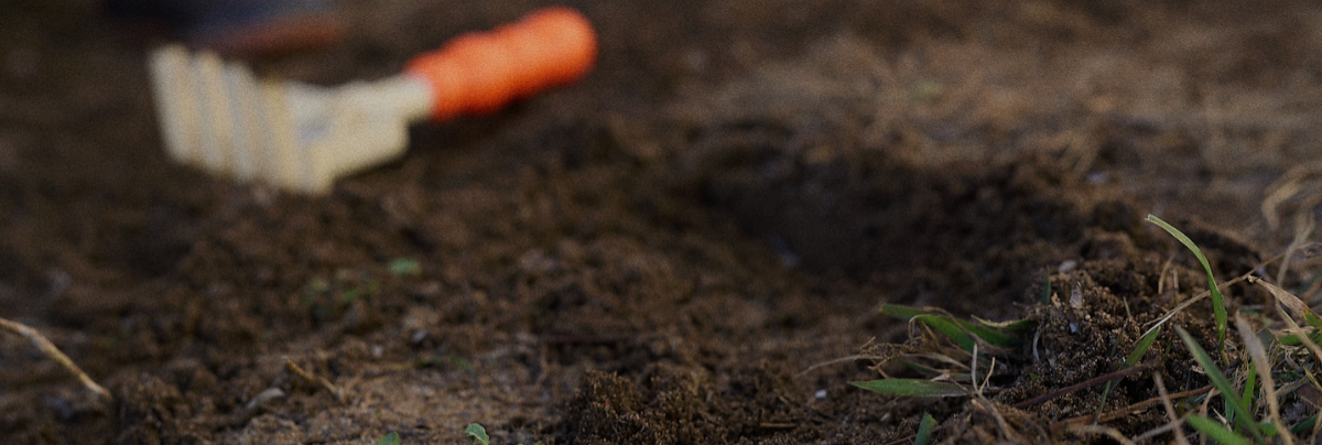 Dirt and Matchbox Cars