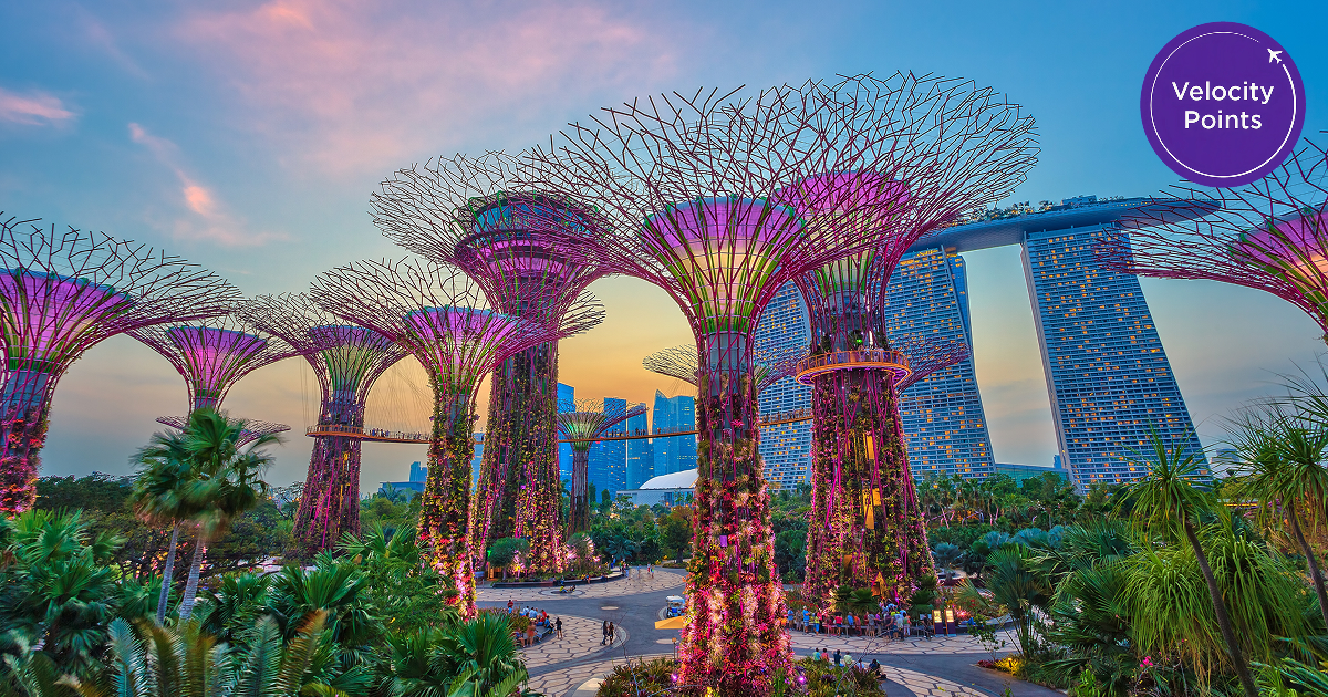 Fly Business Class to Singapore