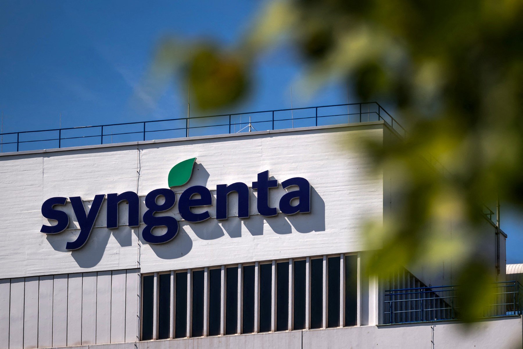 Syngenta condenada e Raízen tenta convencer credores
