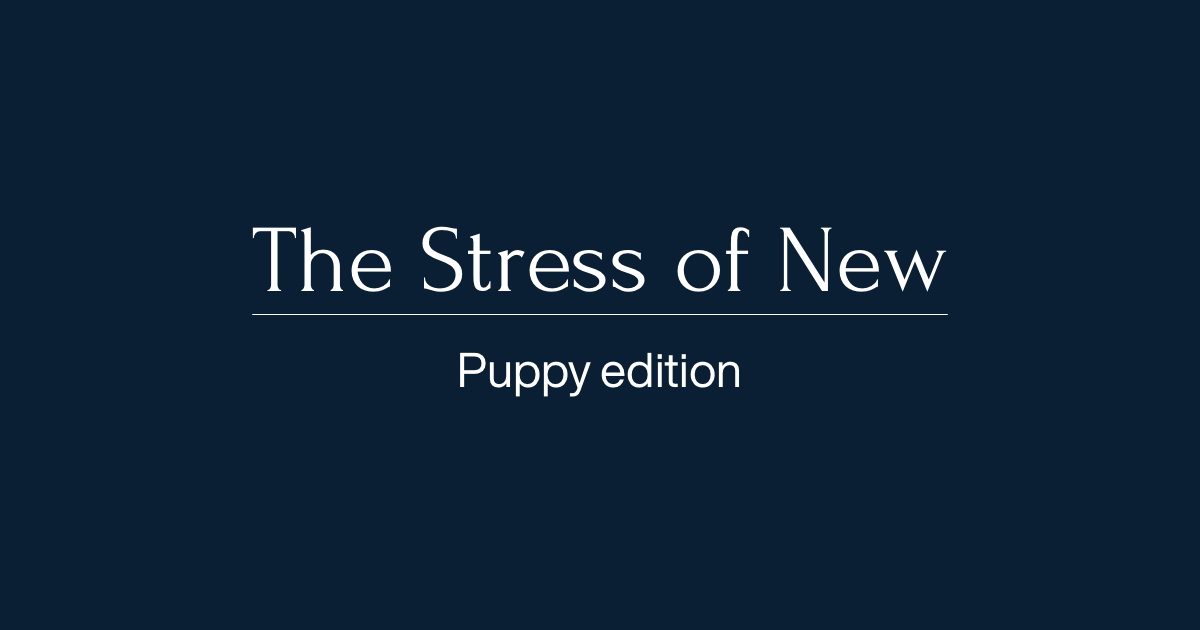 New Puppy-Stress