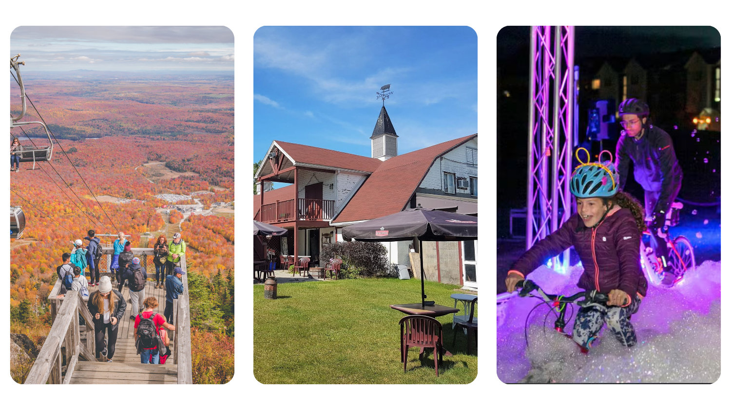 🦫 From pig barn to playhouse: a Townships story worth telling 