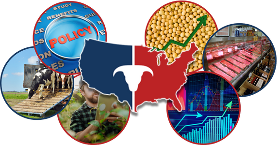 CATTLEUSA DRIVE - Friday, December 26th