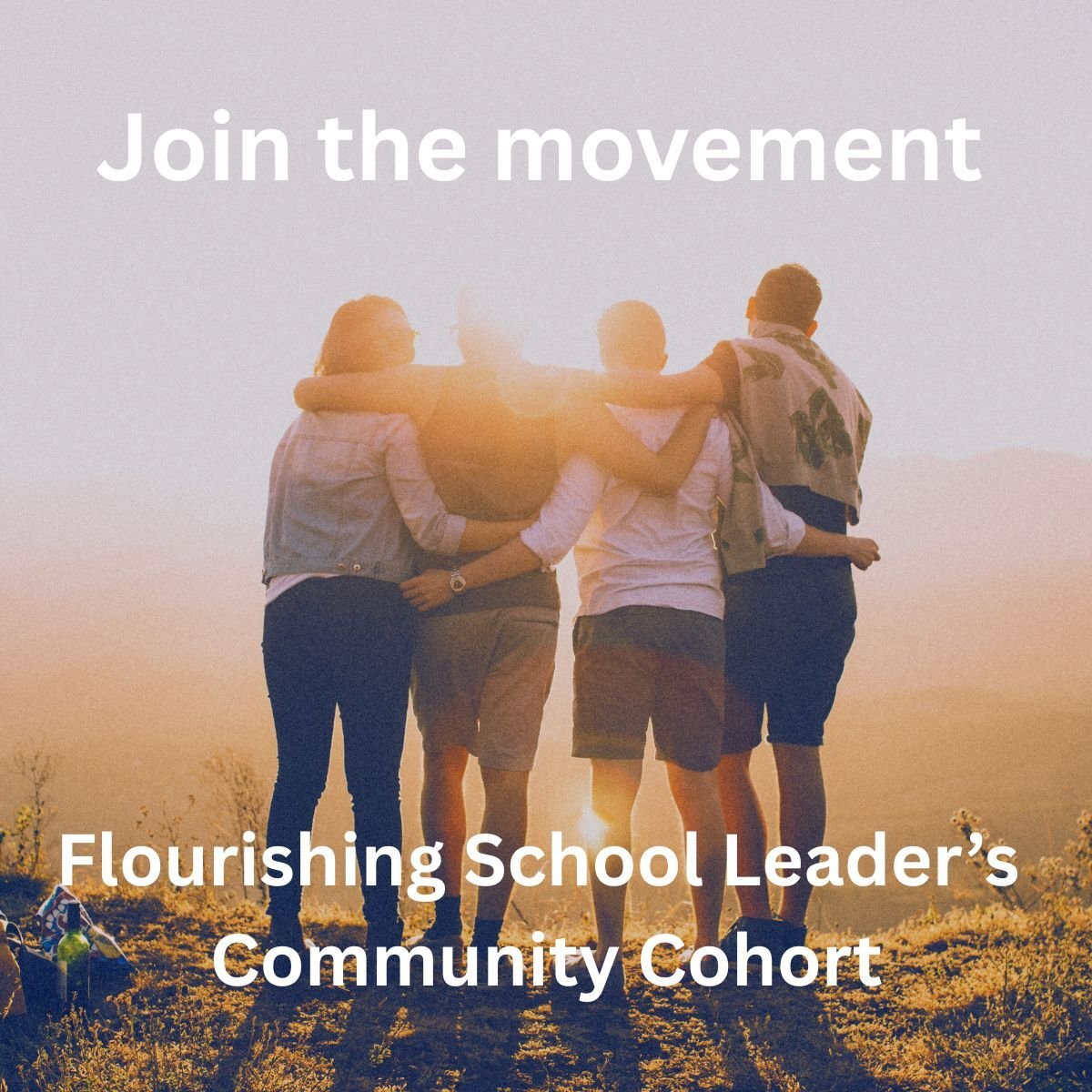 I'm Building Something For You (And I Need Your Input)