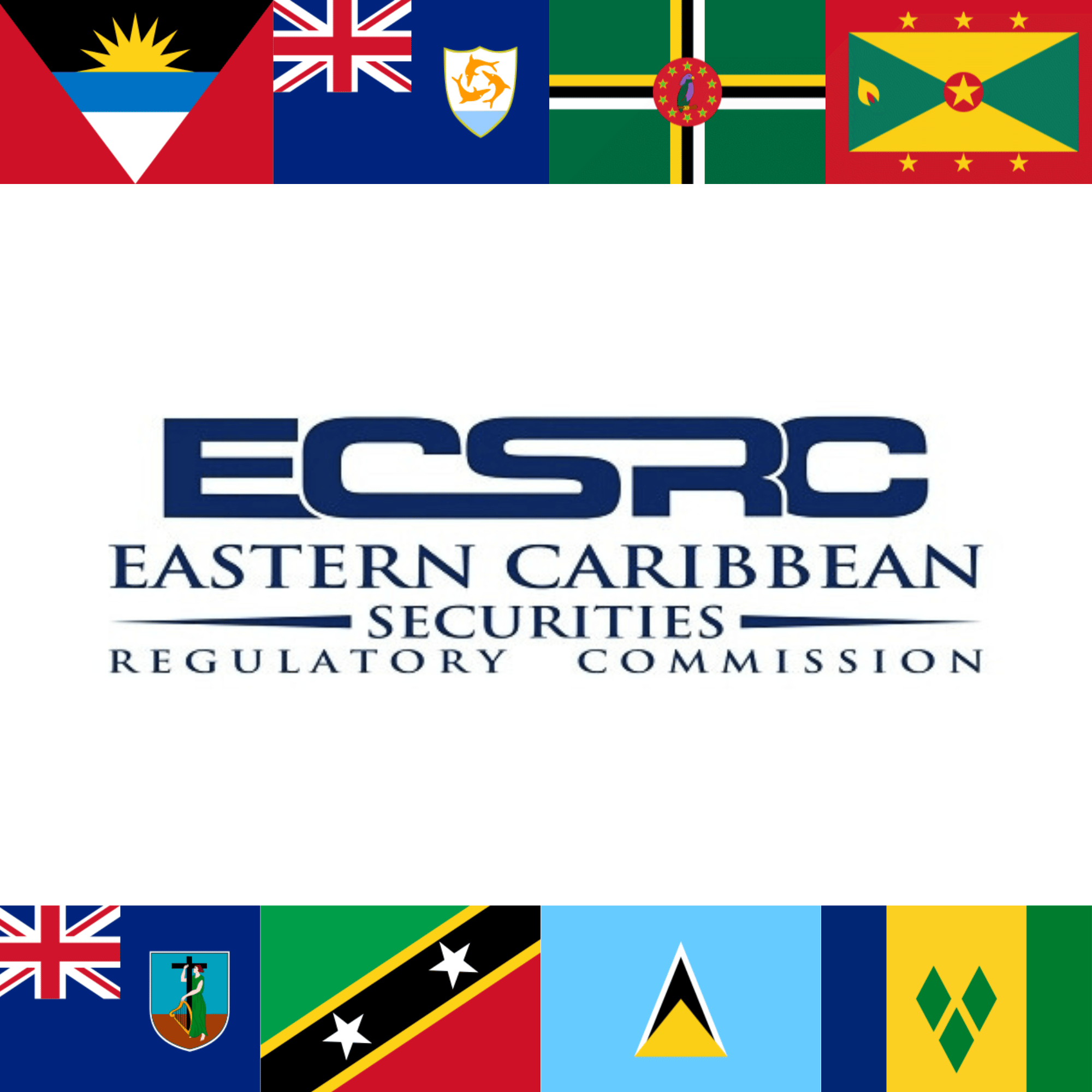 Welcome to the ECSRC Market Focus! 