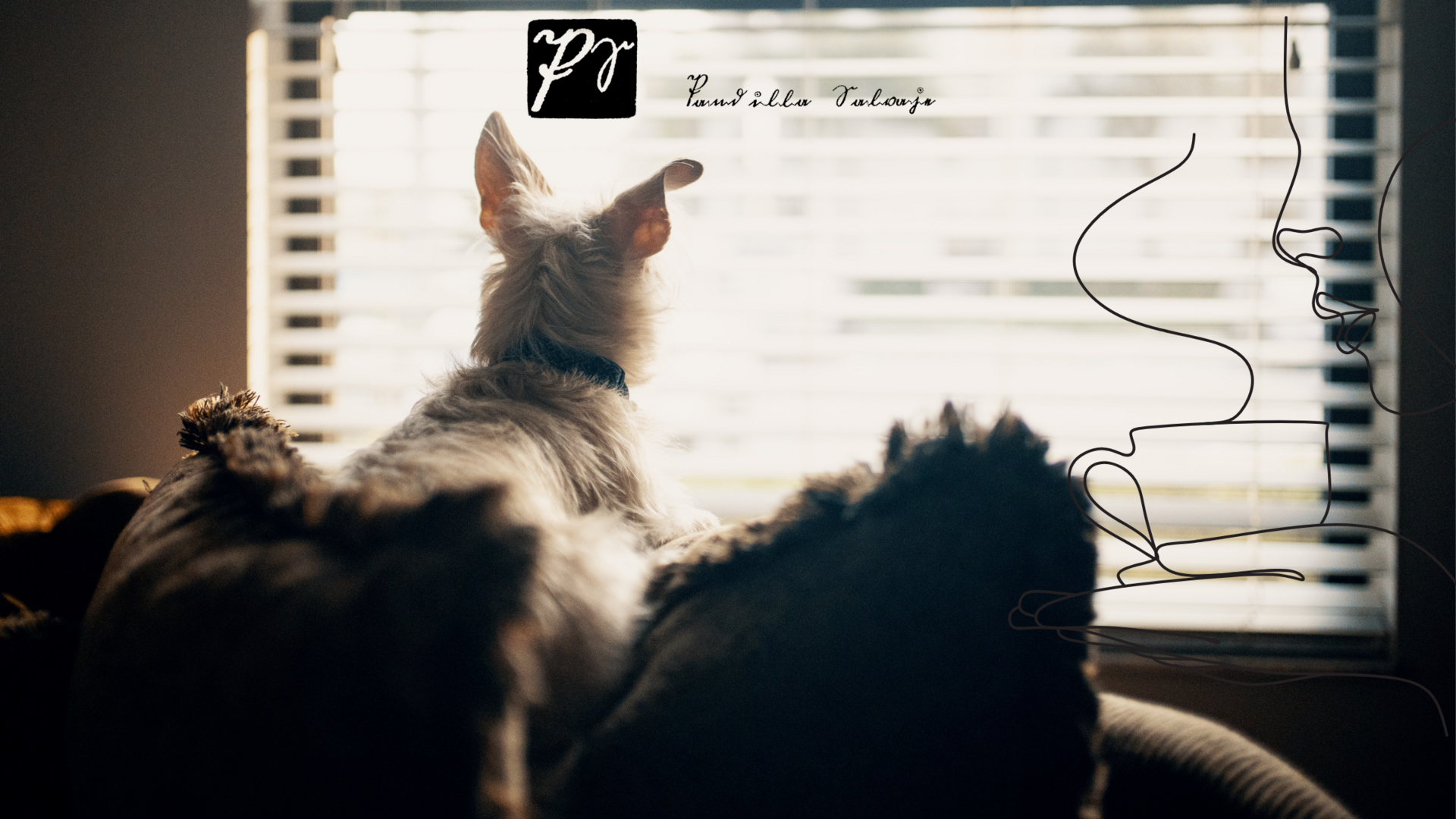 Creativos: forma errónea de llamar a los artistas