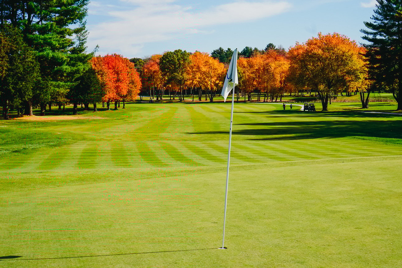 Results Round-up: October 23