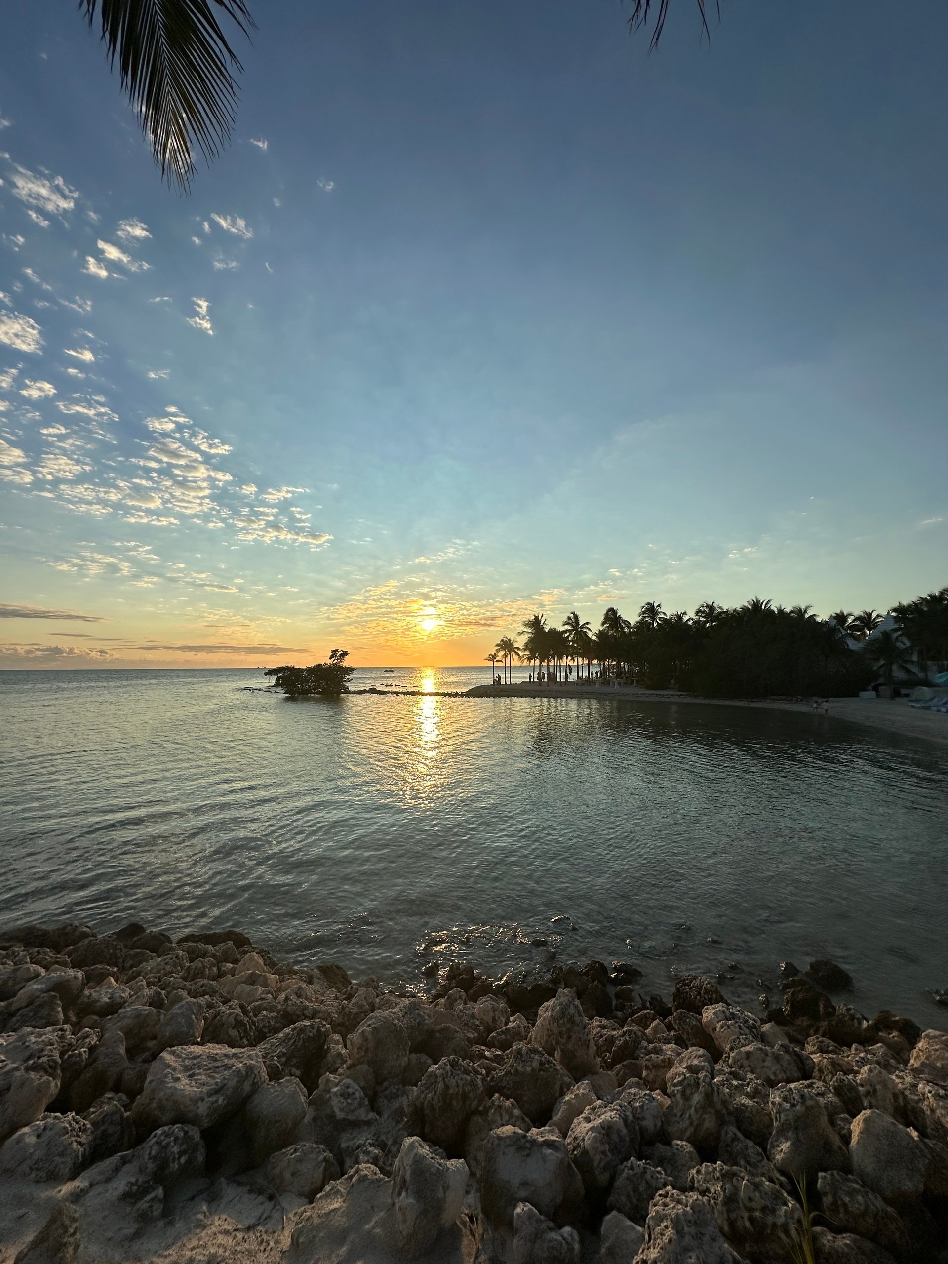 The Pause Between Sets