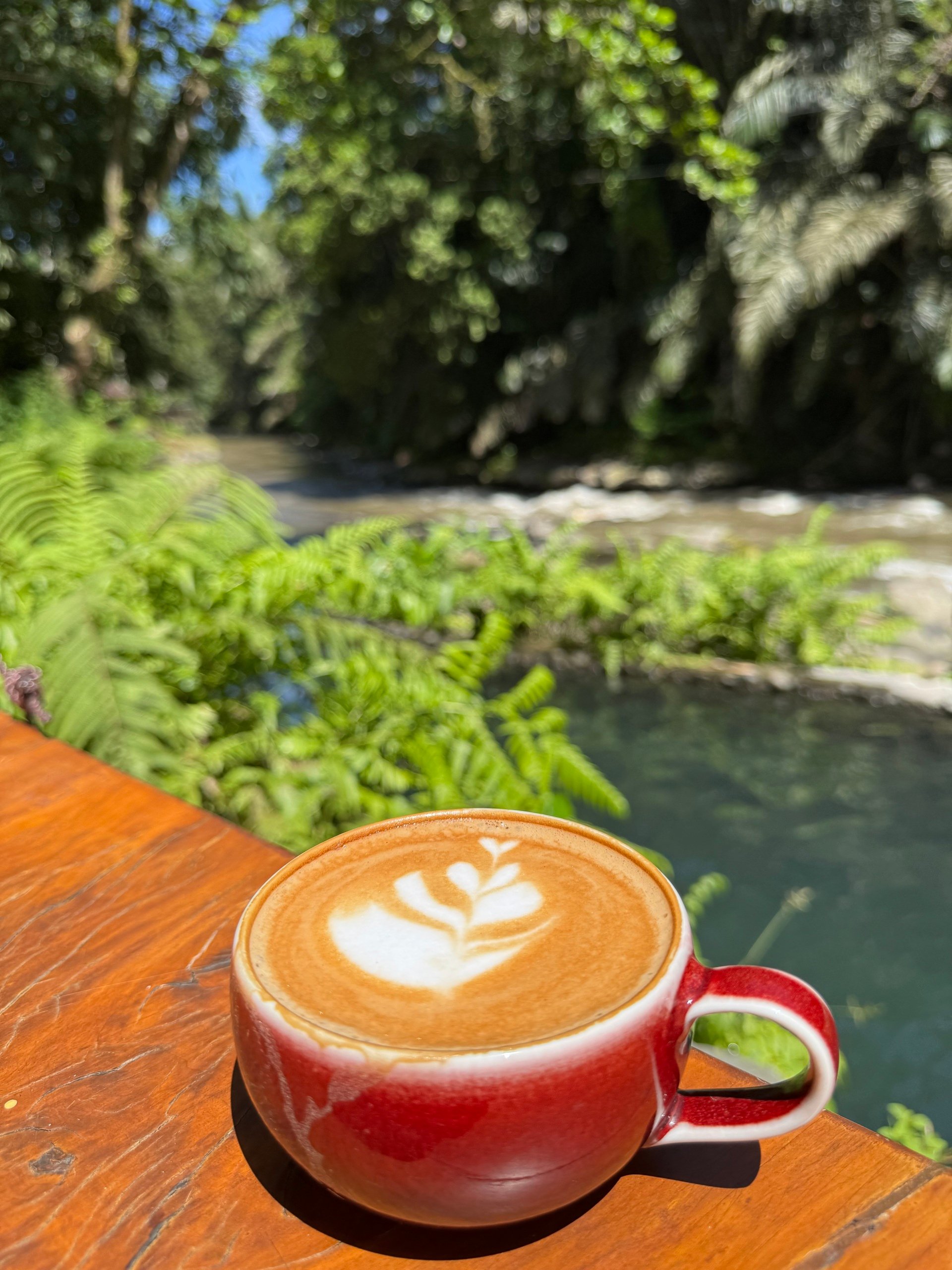 $10 Quad Shot Americano ☕️