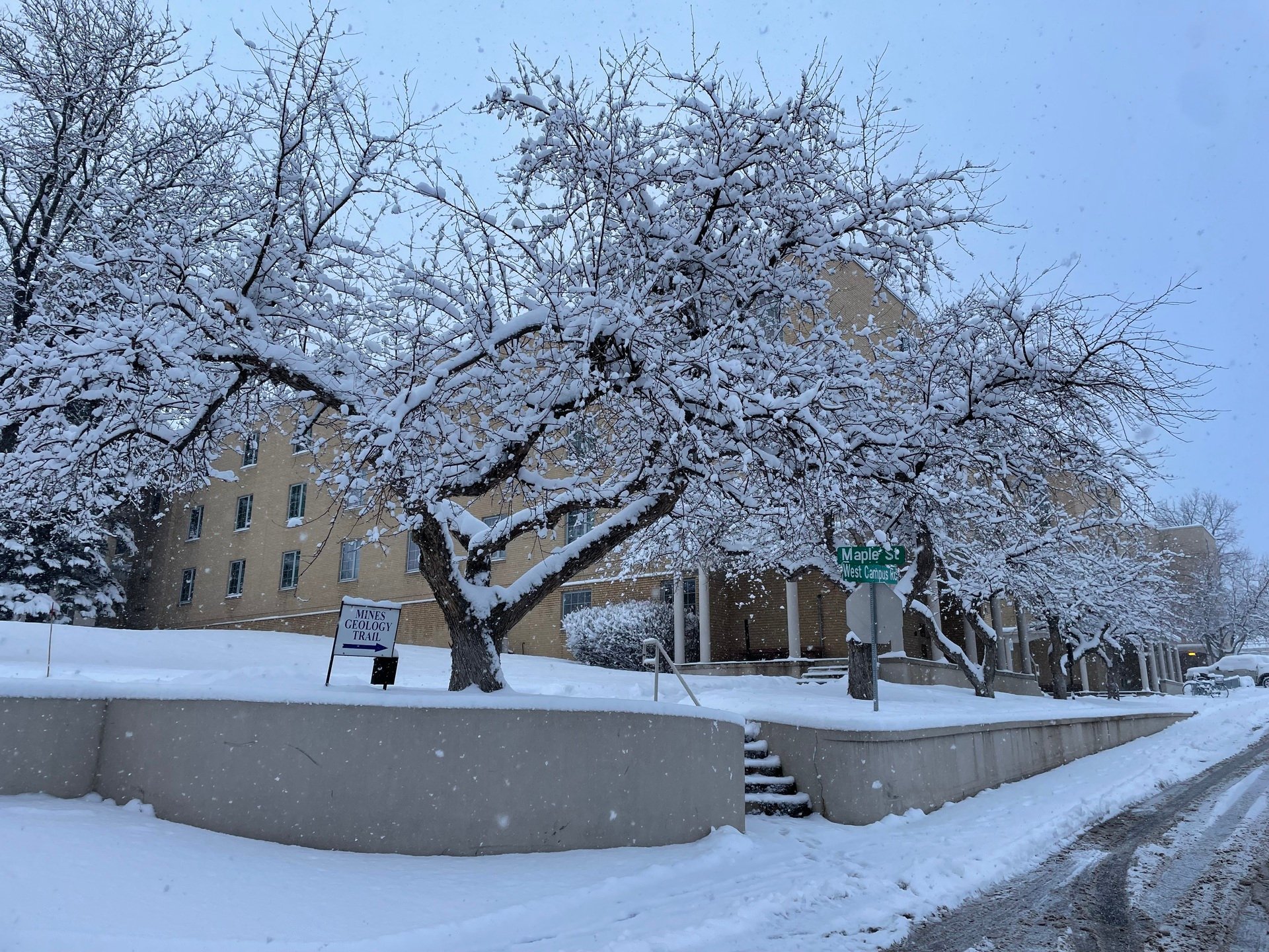 🪿 Grab coffee - lots to get caught up on