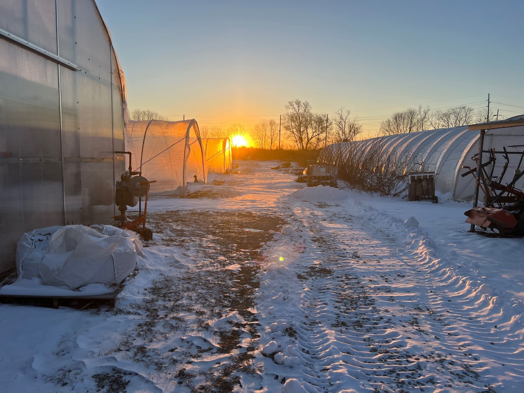 PART 2: Switching to a "Proven" PMA Provider and the Escalating Nightmare