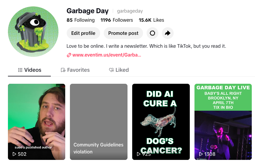 Our content is too spicy for TikTok