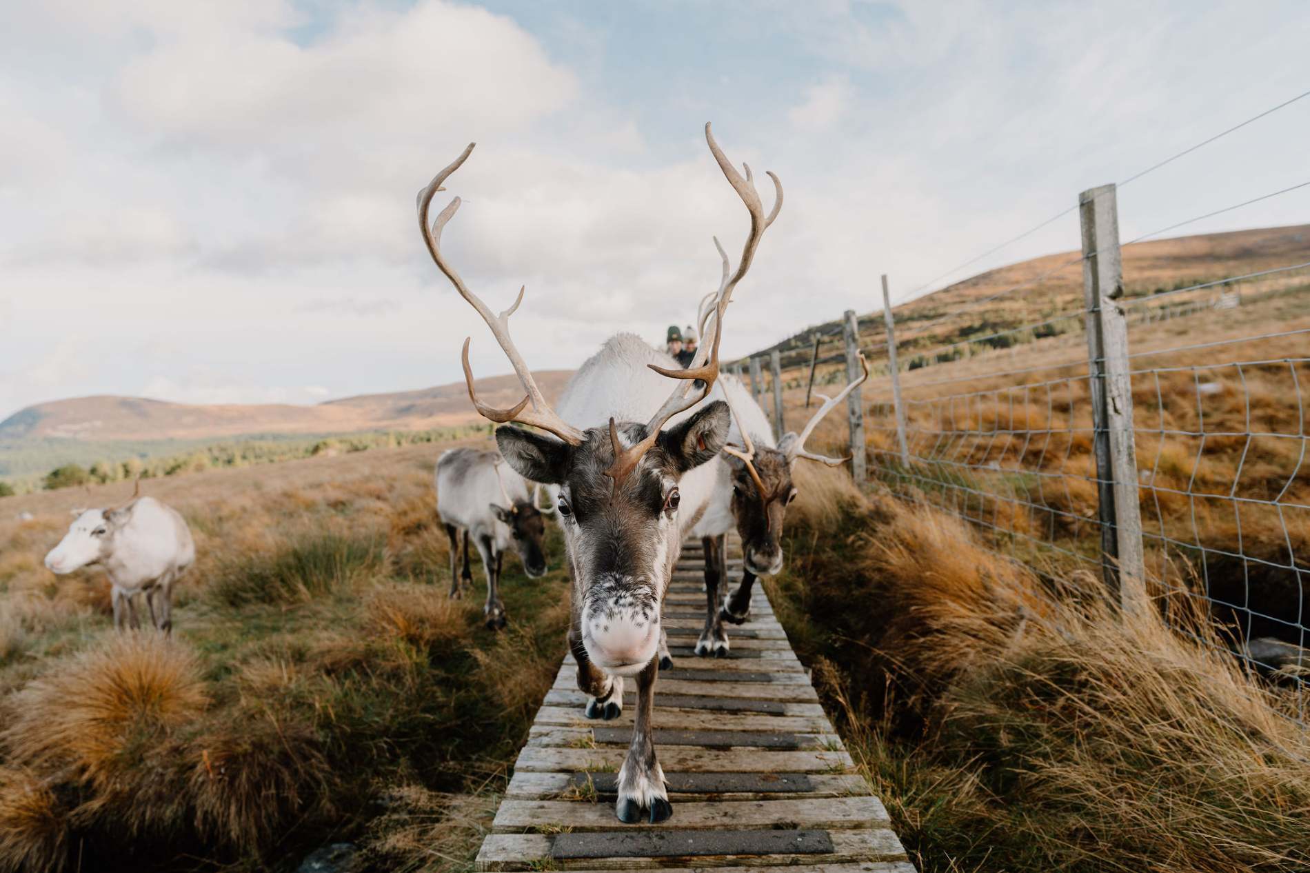 Sunday 4th January 2026 (1)