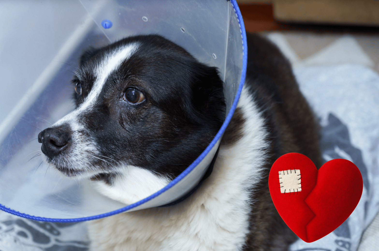 Nature’s Quick-Start Guide 