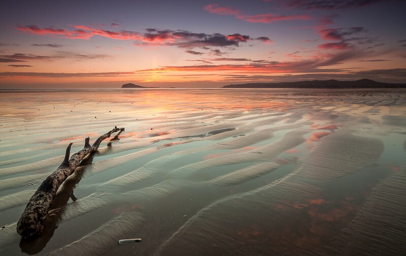 Fingal East Media: 9th - 15th Feb 2026