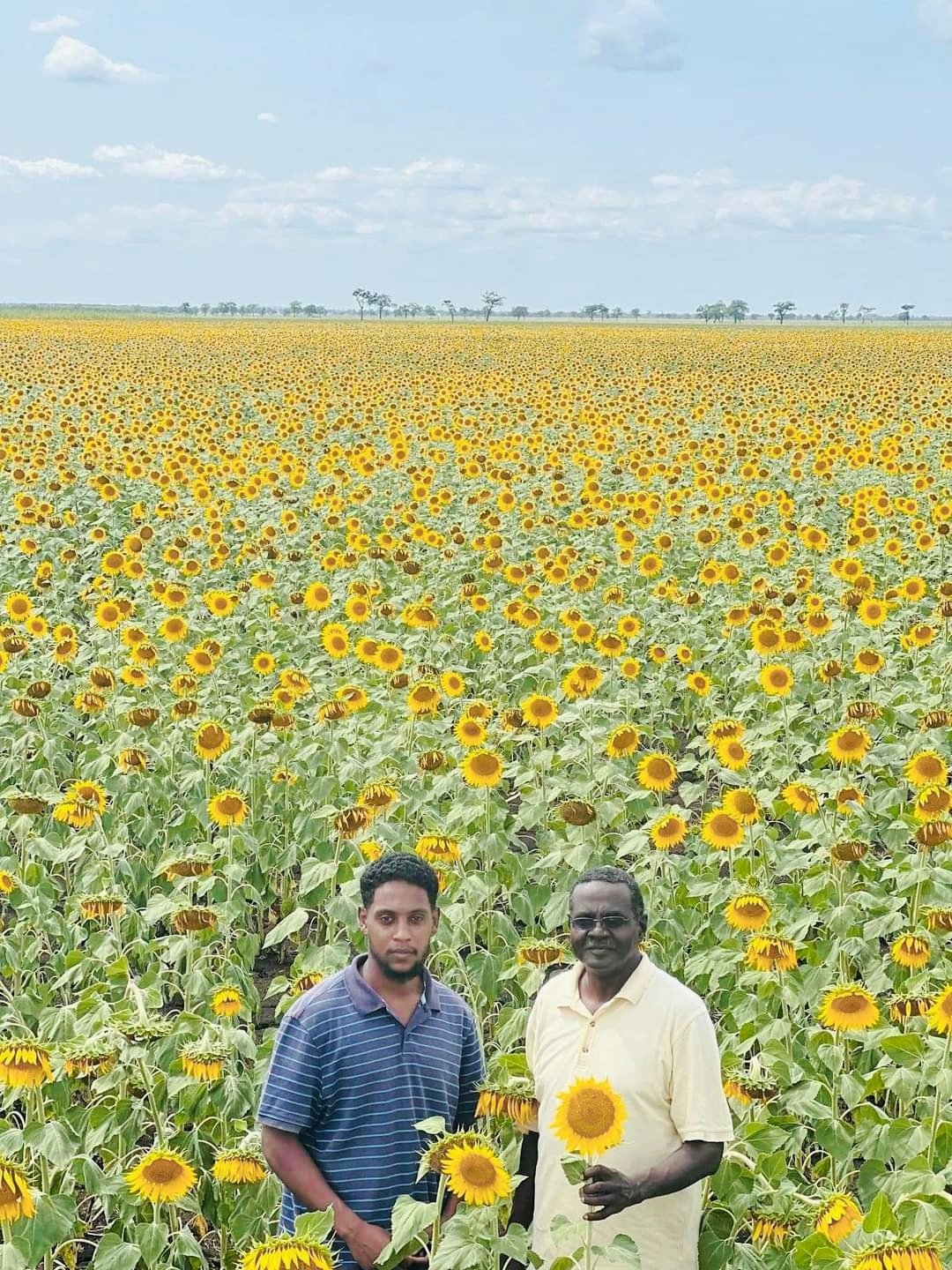 Sudan Croc Dispatch🐊23: The Green Dance