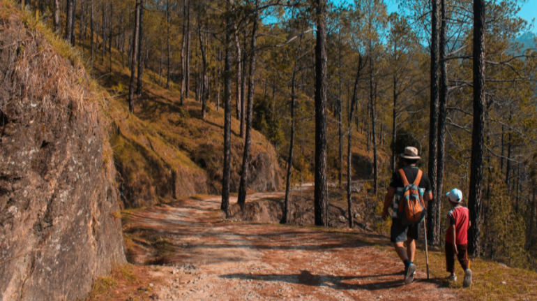 Save the soil: Calgarians unite to raise awareness about soil extinction in a weekend walkathon