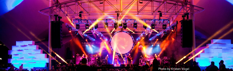 Behind the Smoke and Lasers: The Humans of Several Species